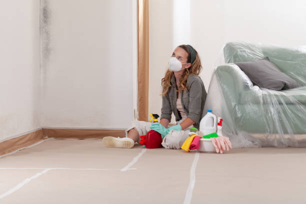 Reliable Mold Remediation contractor in Redland, MD by 24 Hour Mold Removal